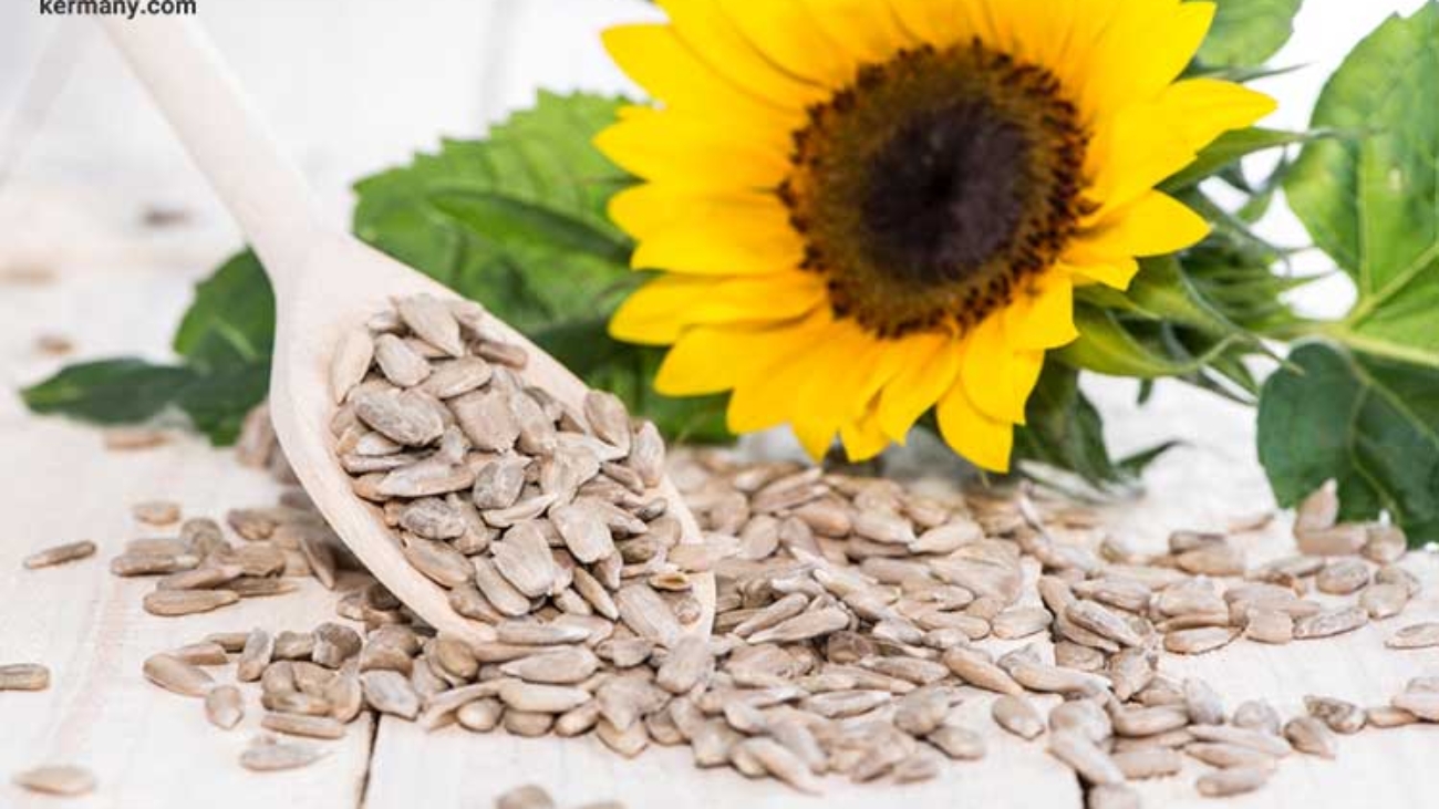 Sunflower-seeds-3